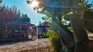 Ortaca El Ele Kadın Girişimi Üretim ve İşletme Kooperatifi