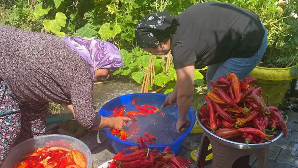 Tarhanalarımız Hazırlanıyor